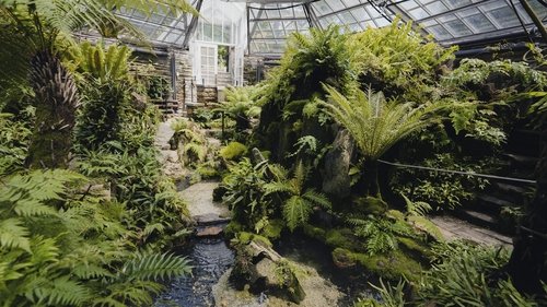 Background image for Morris Arboretum