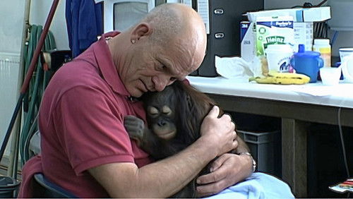 Background image for Episode 11