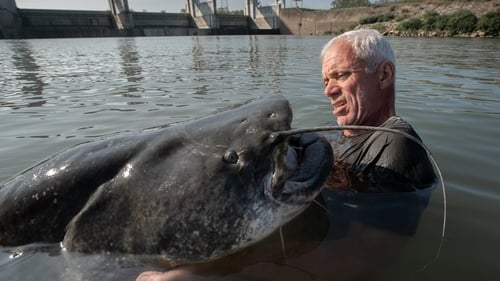 Italy's Lake Monster