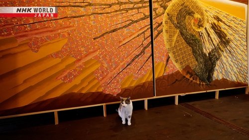 Background image for Nikko: Sleeping Kitty, Door Kitty