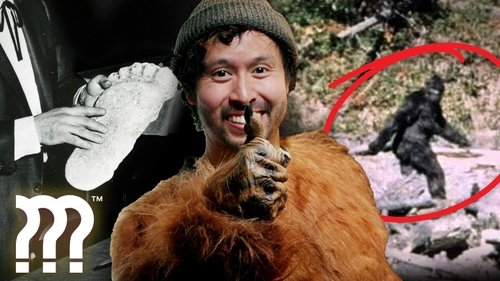 Background image for Is Bigfoot Real? (Revisited)