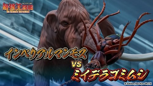 Background image for Blinder beetle VS Imperial Mammoth