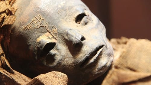 Mummie: sfida all'immortalità