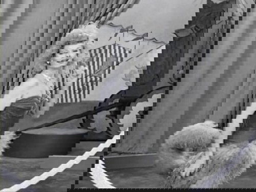 Background image for Lucy Meets the Queen