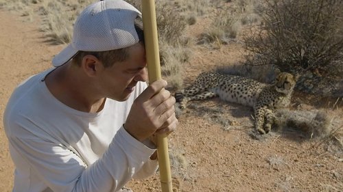 Background image for Africa: Episode 3