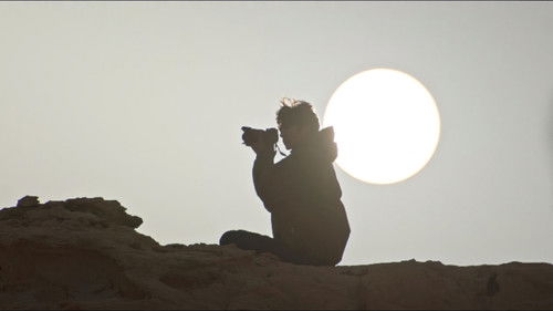 Seize the Opportunity