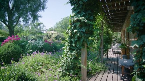 Background image for A garden for living