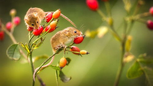 Background image for Episode 1