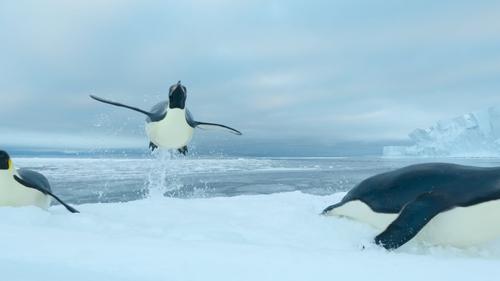 Southern Ocean