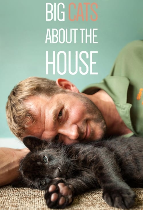 Show cover for Big Cats About The House