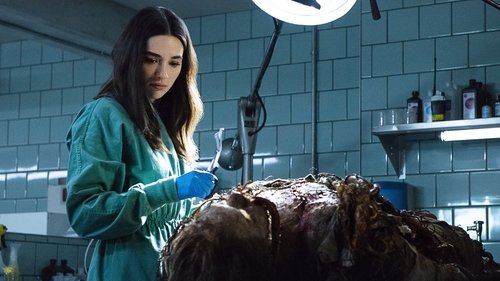 Background image for Pilot