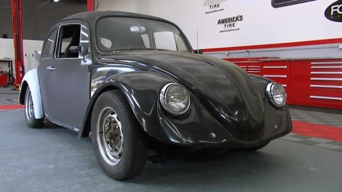 1965 Volkswagen Bug