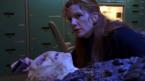 Background image for Relativity Theory