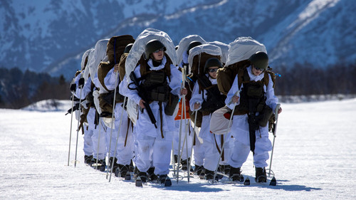 Exercise Icicle - part 1