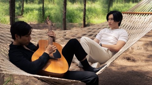 Background image for Whistleblowers and Wounds