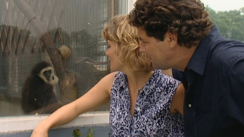 Background image for Episode 2