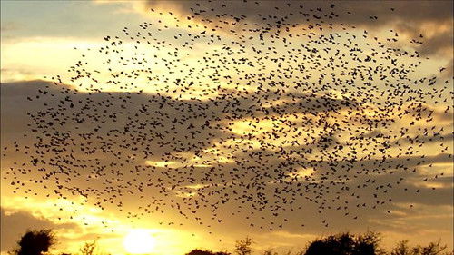 Background image for Episode 1