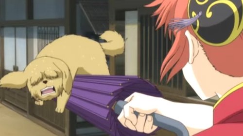 Background image for Cat Lovers and Dog Lovers Are Mutually Exclusive