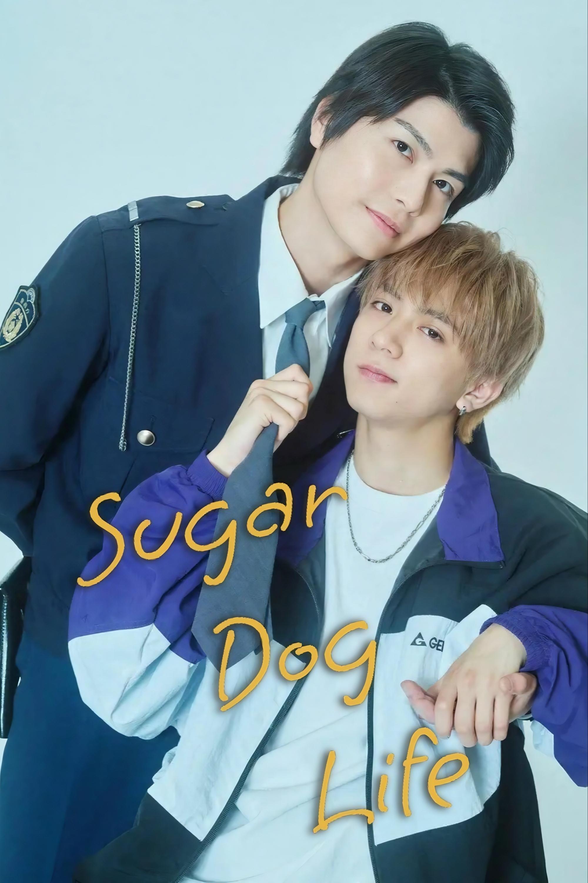 Show cover for Sugar Dog Life