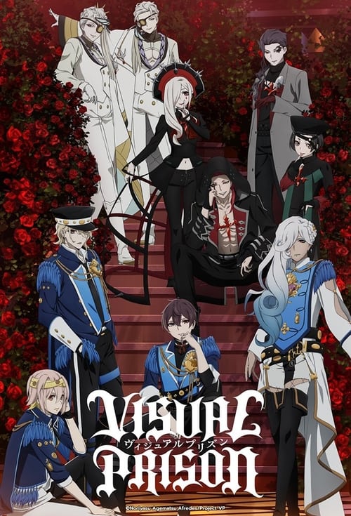 Show cover for Visual Prison