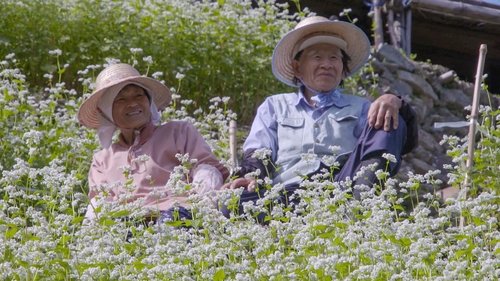 Background image for Life on a Sloping Farm