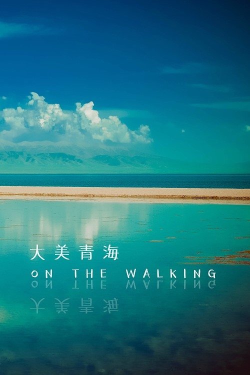 大美青海