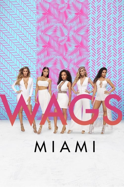 Show cover for WAGS Miami