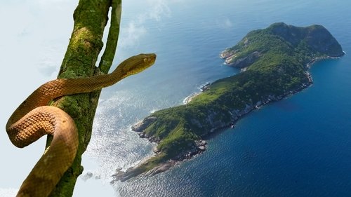 Background image for Snake Island