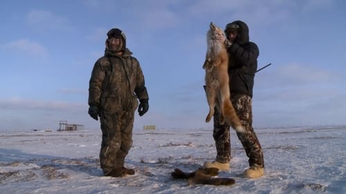 The Coldest Hunt: Nunivak Island Muskox