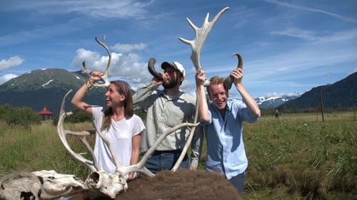 Animal Headgear