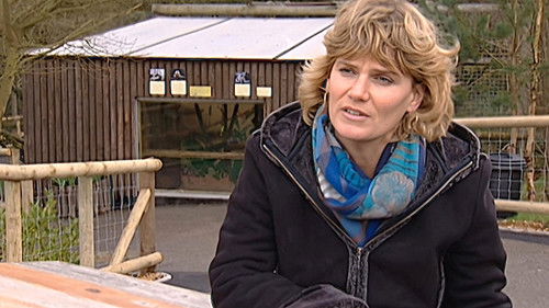 Background image for Episode 4