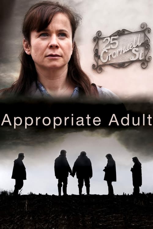 Show cover for Appropriate Adult