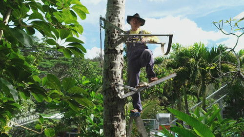 Background image for Episode 4