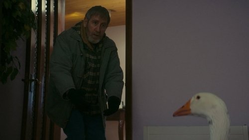 Background image for Wild Goose Chase