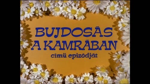 Bujdosás a Kamrában