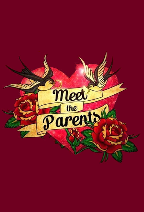 Show cover for Meet the Parents