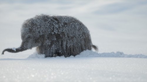 Background image for The Big Freeze