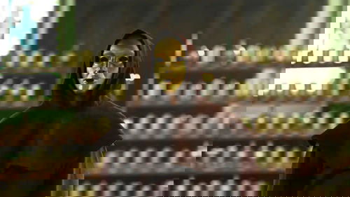 Background image for All This Murderous Power