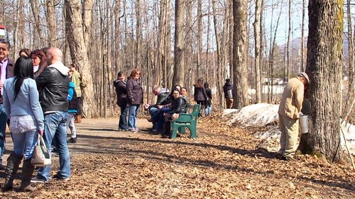 Background image for Episode 24