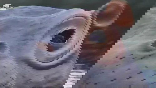 Background image for Episode 2