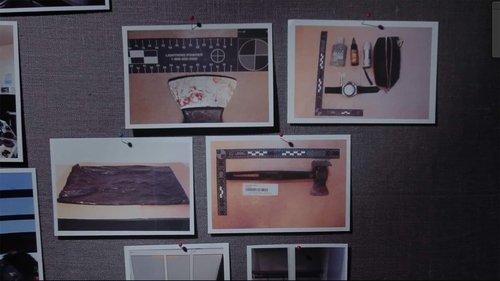Background image for The meat axe murder