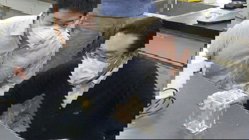 Background image for Researchers Develop Plastic That Decomposes After Use