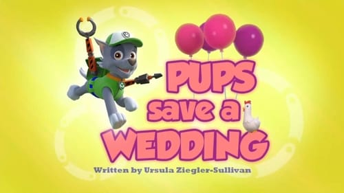 Pups Save a Wedding