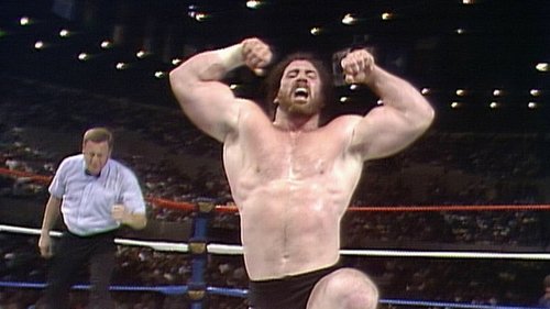 Background image for Saturday Night's Main Event - Nov 29, 1986