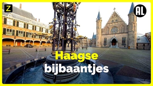 Haagse Bijbaantjes