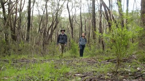Background image for Episode 21 Fish, Prostanthera, Pittwater, Mt Lofty & Hellebore