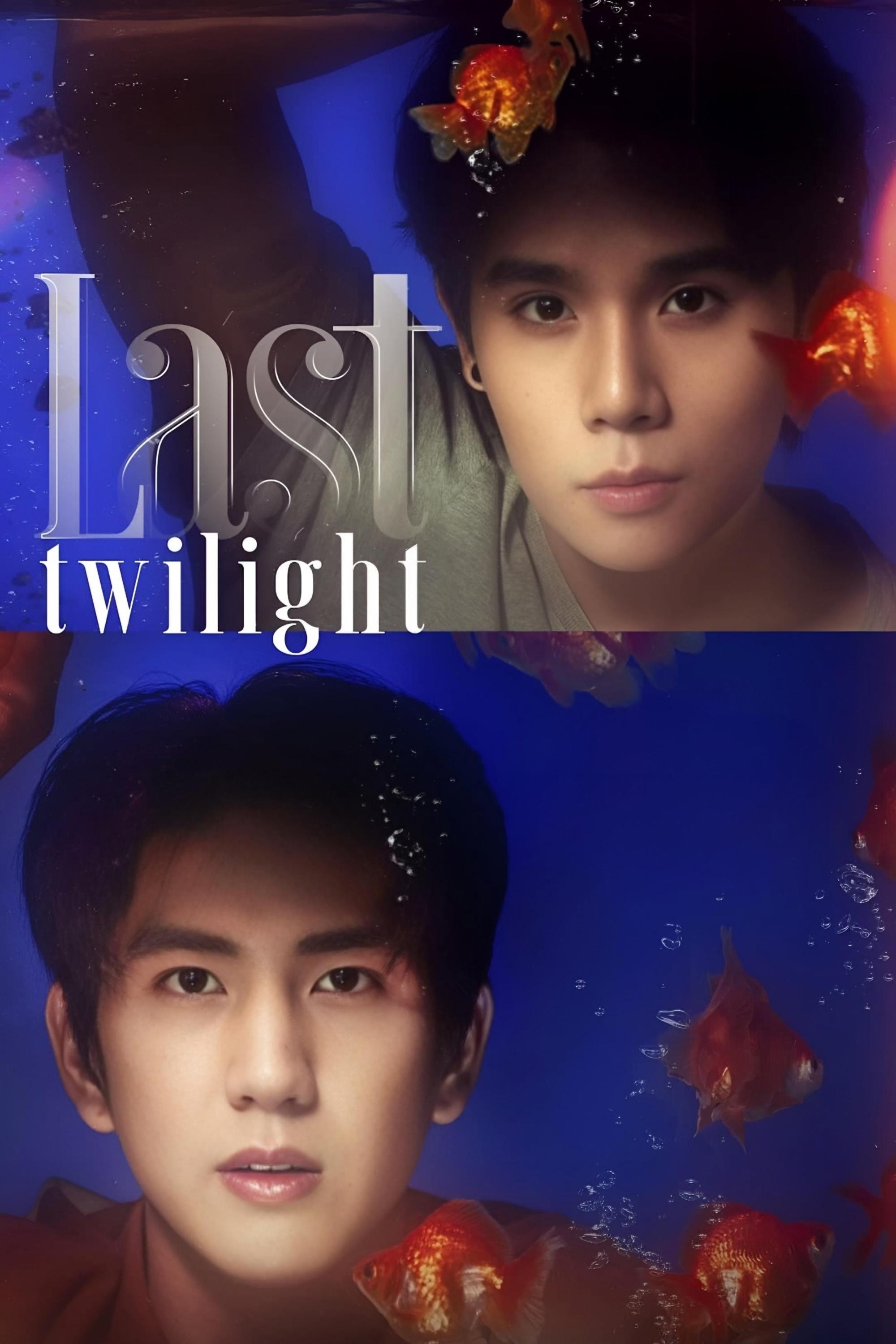 Show cover for Last Twilight