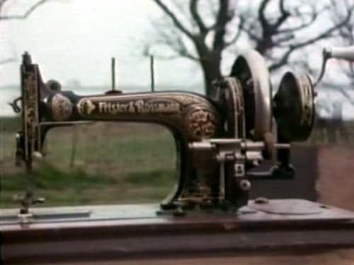 The Secret Life of the Sewing Machine