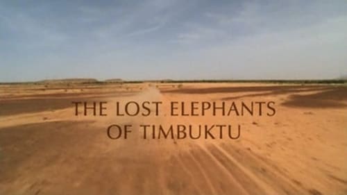 The Lost Elephants of Timbuktu