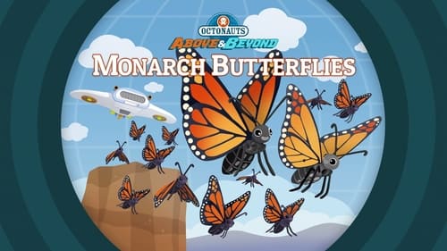 Monarch Butterflies